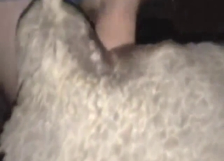 Sheep-fucking dude is going to explore it