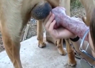 BJ pleasure session with a sexy lady going