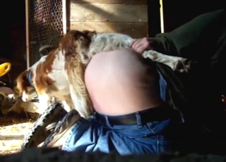 Animal knotting that ass during doggystyle