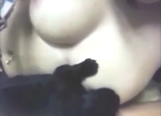 Puppy sucking tits in a hot bestiality porn