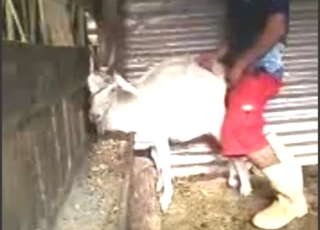 White goat getting off with deep doggystyle