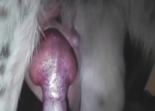 Fleshlight dog fuck movie with real orgasms