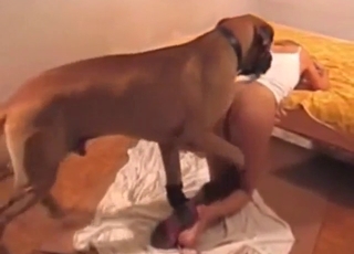 Doggystyle fuck with a dog that gapes pussy