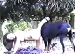 Black dog is going to make her pussy wetter