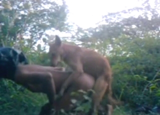 Doggystyle ass fuck with a hot person OUTSIDE