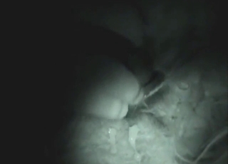Slutty sheep taking cock with night footage