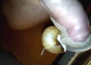 Dude with a nice-looking cock fucks a snail