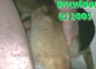 Zoo XXX shows a mutt getting fucked from behind