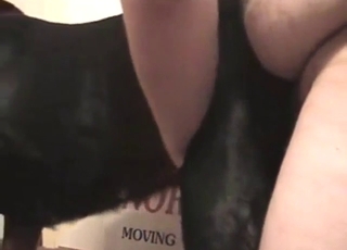 Zoophile porn with a guy who wants gaping