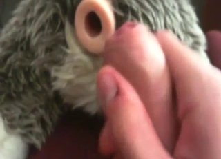 Zoo XXX addict decides to fuck his plushie