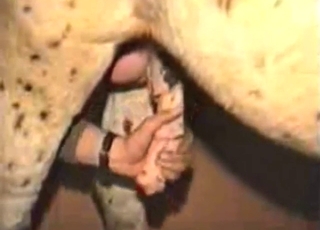 Zoophile porn featuring a horse that needs JERKING