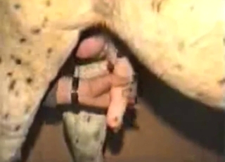 Zoophile porn featuring a horse that needs JERKING
