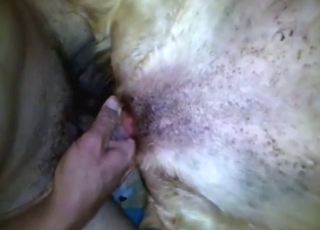 Zoo XXX with a dog getting off with his dick