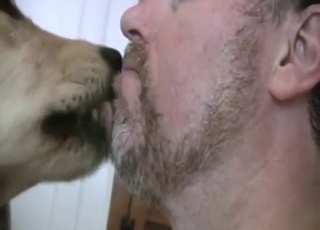 Zoophile porn shows a guy taking dog cock