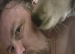 Zoophile porn shows a guy taking dog cock