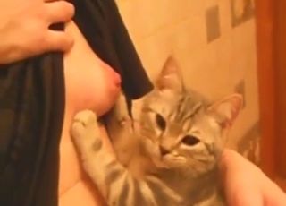 Zoo sex shows a sexy girl using her tits for a cat