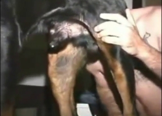 Bestiality sex with a dog getting rimmed hard