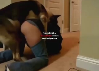 Family dog in bestiality porn with doggystyle