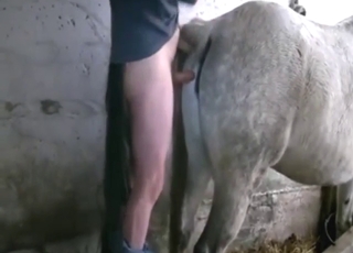 Mad bestiality sex with close-up orgasms