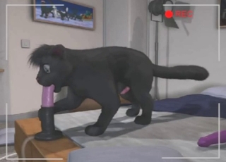 Every zoophile wants a horse-riding panther