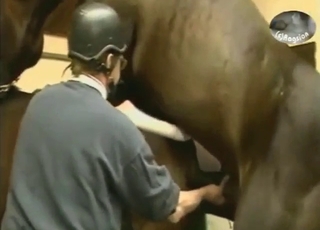 Zoophiles oversee zoo XXX with two horses