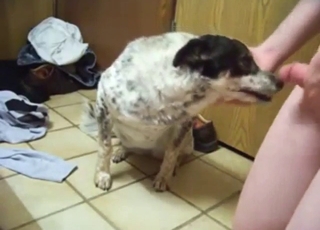 Ass-fuck zoo XXX with plenty of hot foreplay