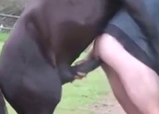 Horsey cock is going to fuck a slutty dude hard