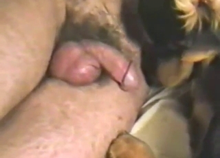 Dude with a hairy cock figuring it out with a dog