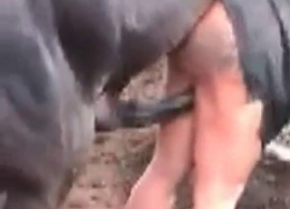 Passionate outdoor sex with a sweet beauty