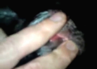 Doggy's tight twat looks so damn fuckable