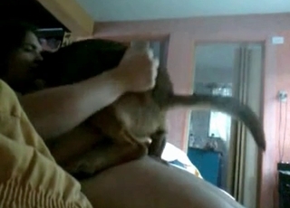 Passionate and impressive amateur bestiality sex action