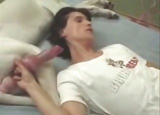 Black hound with a large cock receives a BJ from a brunette