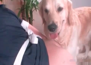 Brunette with a lot of meat on her body sexed by a dog