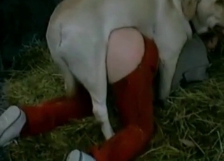 White pupper knows how to bang a human pussy
