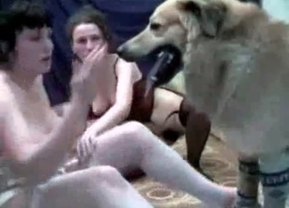 Filthy as fuck bestiality sex with my lovely animal