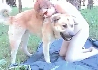 Nice mutt is showing a world class action