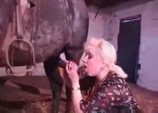 Girl with fishnets is alone with a stallion and she likes him