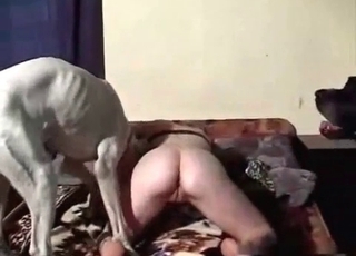 Nasty animal and zoo slut