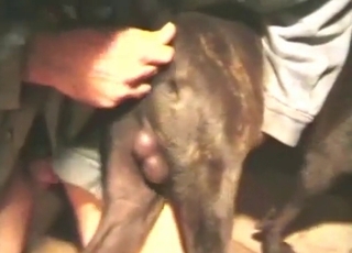 Screwing a doggy with my fingers only