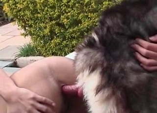 A tight hole is utterly banged by a dick of an animal