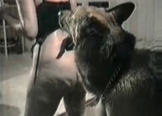 MILF and her submissive sweet doggy