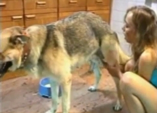 Doggy is getting a very nice handjob