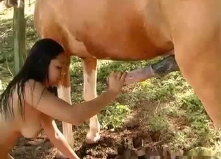 Brunette whore having sexual fun with a stallion