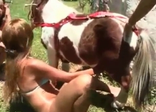 Nice young horse and obscene as hell zoophiles