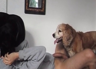 Dog is fucking a lovely wet pussy of a stupid slut