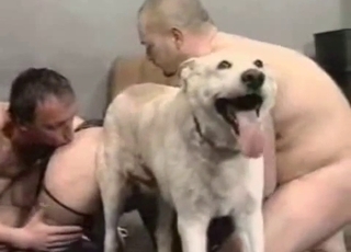 Brutal bestiality orgy with an awesome doggy