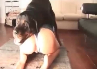 This slut wears a short skirt and wants to be fucked by a doggo
