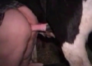 Barn is the place where nasty bestiality is happening