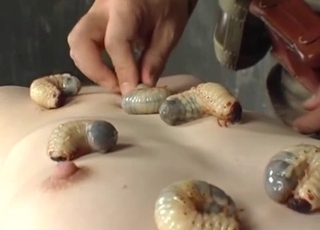 Japanese girls and their lovely exotic animals