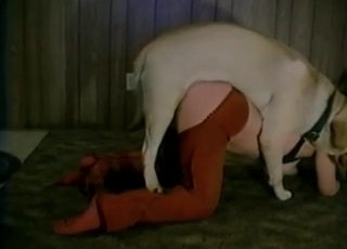 Ultra-kinky animal fuck-a-thon at the barn